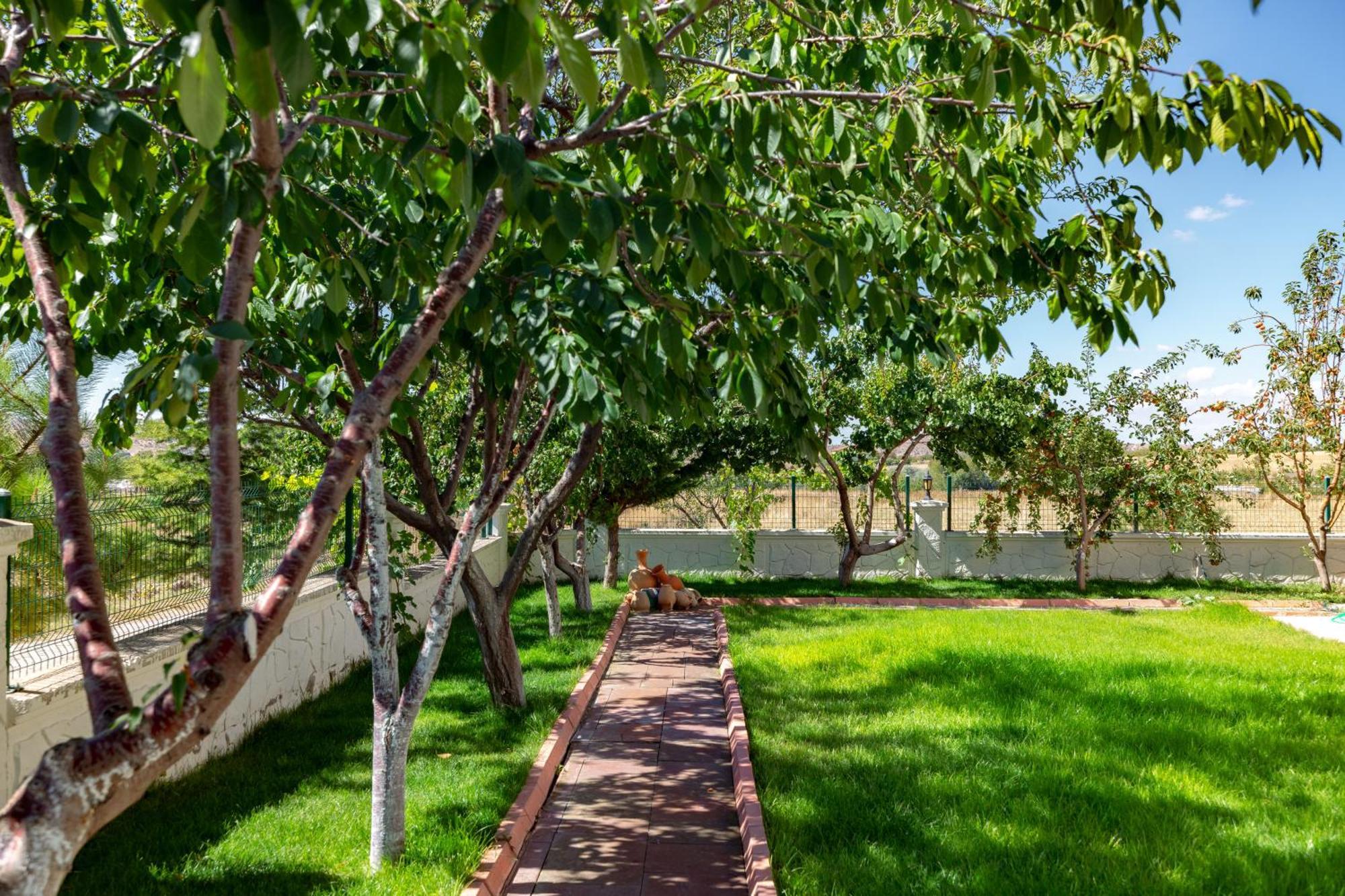 Cappadocia Villa Comfort Nevşehir Buitenkant foto